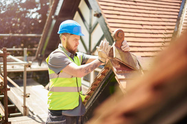 Best Roof Gutter Cleaning  in Middle Valley, TN